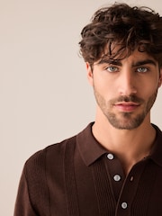 Brown Regular Fit 100% Cotton Knitted Textured Stripe Polo Shirt - Image 1 of 8