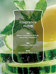Yankee Candle Cucumber Mint Cooler Signature Medium Jar Boxed Candle - Image 2 of 2