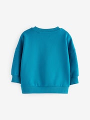 Teal Blue Crew Neck 100% Cotton Sweatshirt (3mths-7yrs) - Image 4 of 6