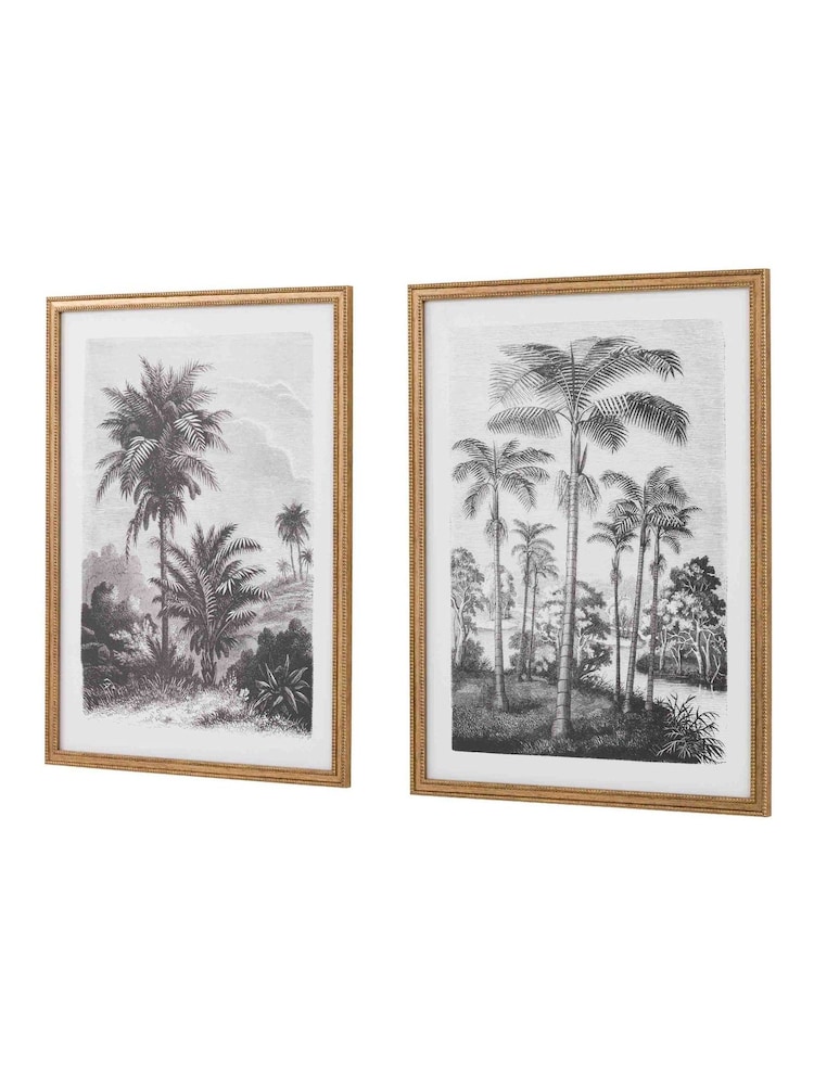 Gallery Home Multicoloured Botanical Etchings Framed Art Set of 2 - Image 5 of 5 Gallery Home Multicoloured Botanical Etchings Framed Art Set of 2 - Image 5 of 5