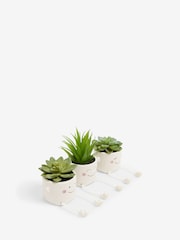 Set of 3 Green Artificial Dangly Succulents - Image 3 of 4