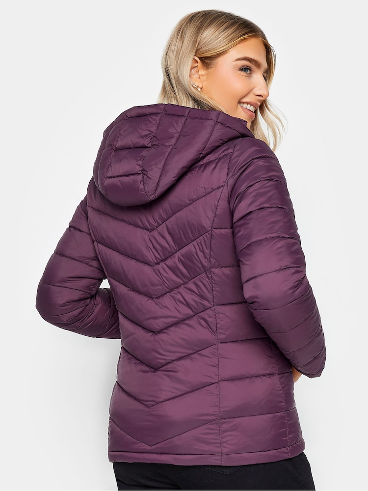 M&Co Purple Short Quilted Padded Jacket - Image 2 of 4