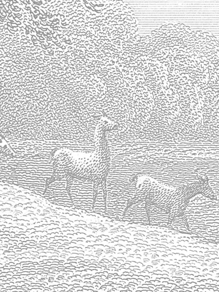 Woodchip & Magnolia Grey Garden of Eden Mural Wallpaper - Image 2 of 2
