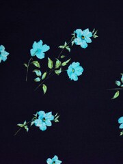 Ro&Zo Cluster Floral Button Front Midi Dress - Image 6 of 6