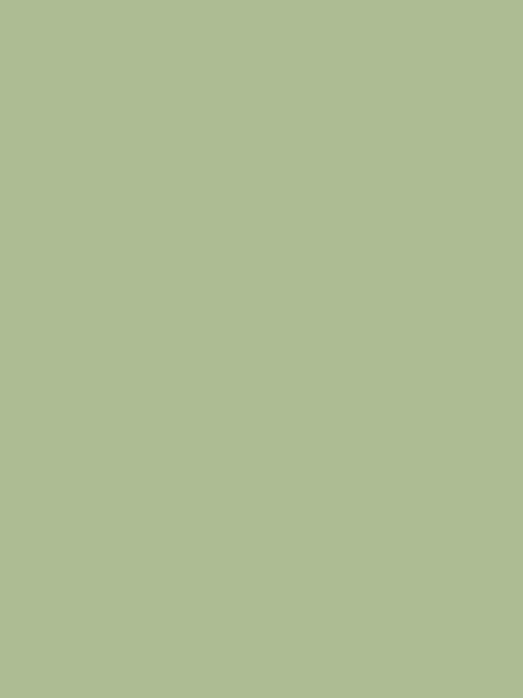 Joules Swanton Novas Green Multi Surface Matt Emulsion - Image 2 of 4 Joules Swanton Novas Green Multi Surface Matt Emulsion - Image 2 of 4