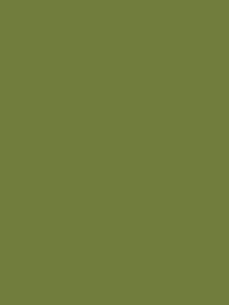 Joules Galoshes Green Multi Surface Matt Emulsion - Image 2 of 4 Joules Galoshes Green Multi Surface Matt Emulsion - Image 2 of 4