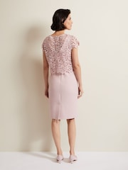 Phase Eight Pink Daisy Lace Midi Dress - Image 2 of 8