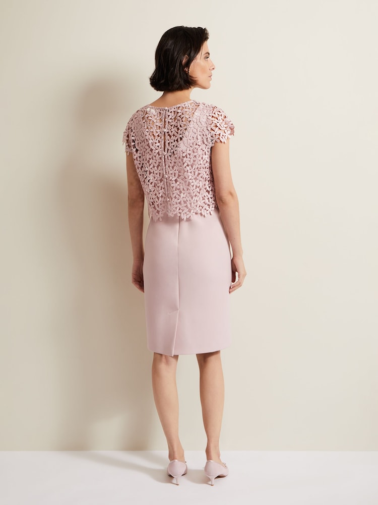 Phase Eight Pink Daisy Lace Midi Dress - Image 2 of 8