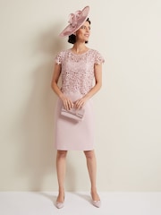 Phase Eight Pink Daisy Lace Midi Dress - Image 3 of 8
