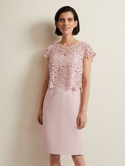 Phase Eight Pink Daisy Lace Midi Dress - Image 4 of 8