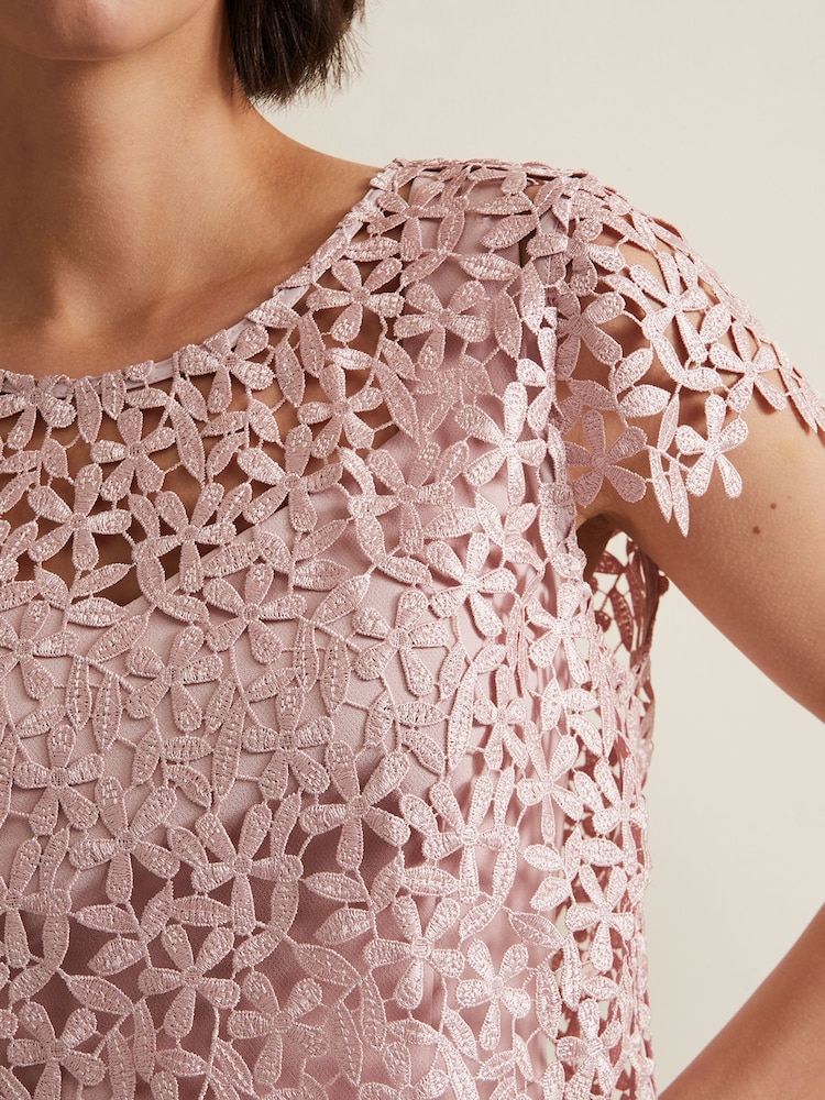 Buy Phase Eight Pink Daisy Lace Midi Dress from Next USA Buy Phase Eight Pink Daisy Lace Midi Dress from Next USA