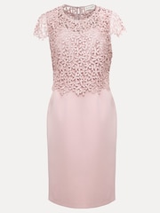 Phase Eight Pink Daisy Lace Midi Dress - Image 8 of 8
