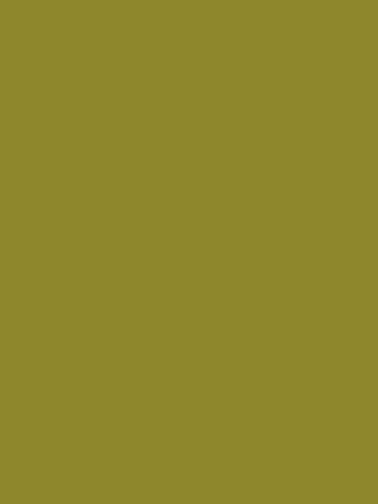 Joules Spixworth Green Multi Surface Matt Emulsion - Image 2 of 4 Joules Spixworth Green Multi Surface Matt Emulsion - Image 2 of 4