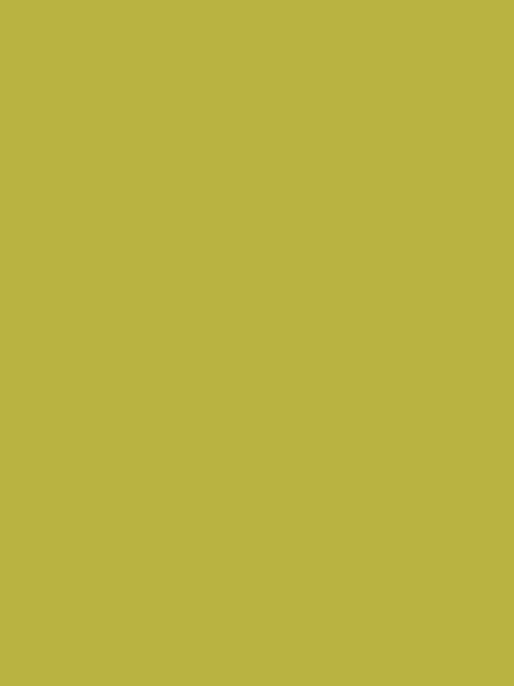 Joules Gold Multi Surface Matt Emulsion 2.5L Paint - Image 2 of 4 Joules Gold Multi Surface Matt Emulsion 2.5L Paint - Image 2 of 4