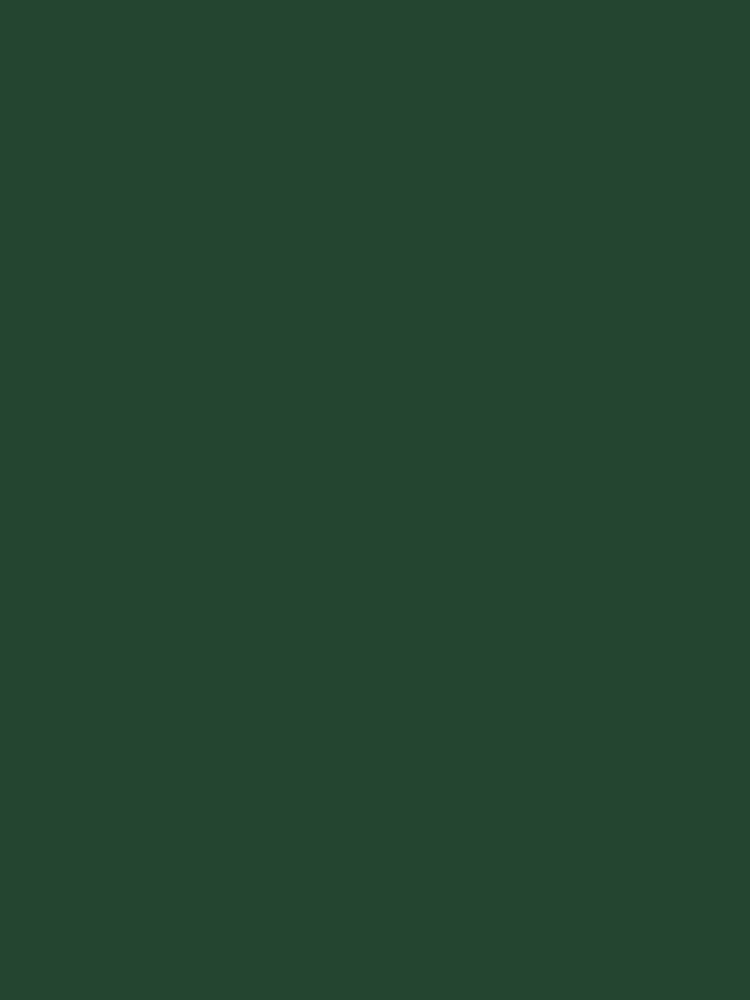 Bottle Green Ultimate Multi-Surface 2.5L Paint - Image 5 of 5 Bottle Green Ultimate Multi-Surface 2.5L Paint - Image 5 of 5