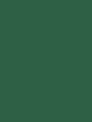 Joules Green Multi Surface Matt Emulsion Paint - Image 2 of 4