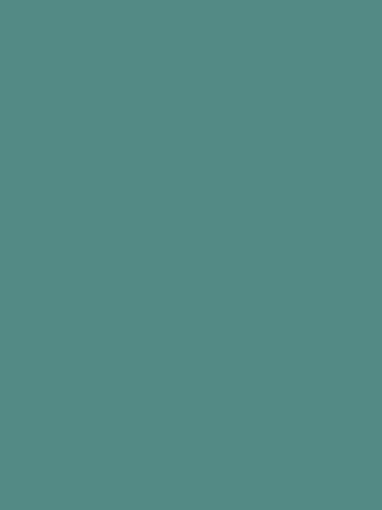 Bold Teal Ultimate Multi-Surface 2.5L Paint - Image 5 of 5 Bold Teal Ultimate Multi-Surface 2.5L Paint - Image 5 of 5