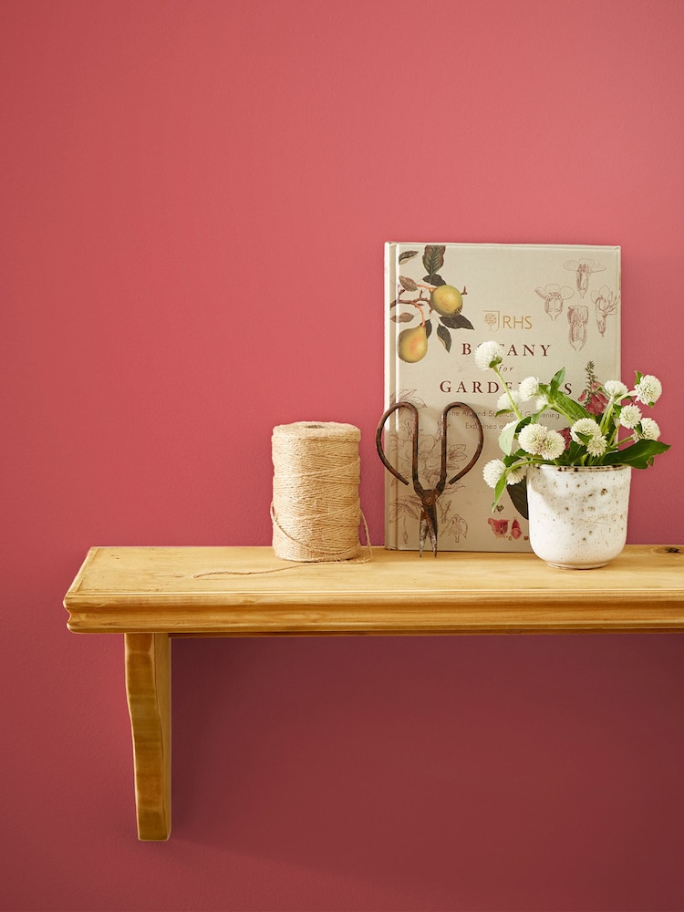 Joules Plump Grouse Pink Multi Surface Matt Emulsion Paint - Image 1 of 4 Joules Plump Grouse Pink Multi Surface Matt Emulsion Paint - Image 1 of 4