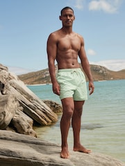 Sage Green Palm Tree Geo Regular Fit Printed Swim Shorts - Image 2 of 12