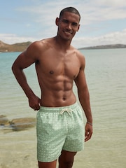 Sage Green Palm Tree Geo Regular Fit Printed Swim Shorts - Image 3 of 12