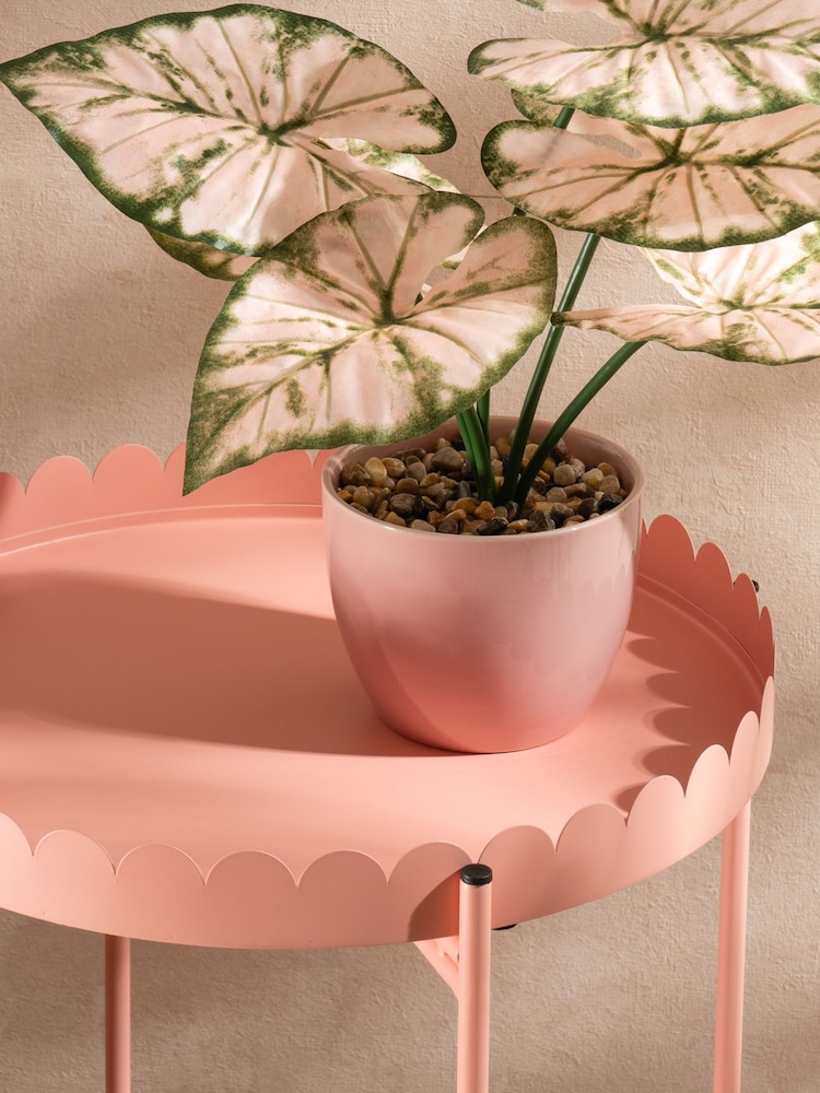 Scottish Everlastings Ltd Pink Greige Round Scallop Table - Image 4 of 4 Scottish Everlastings Ltd Pink Greige Round Scallop Table - Image 4 of 4