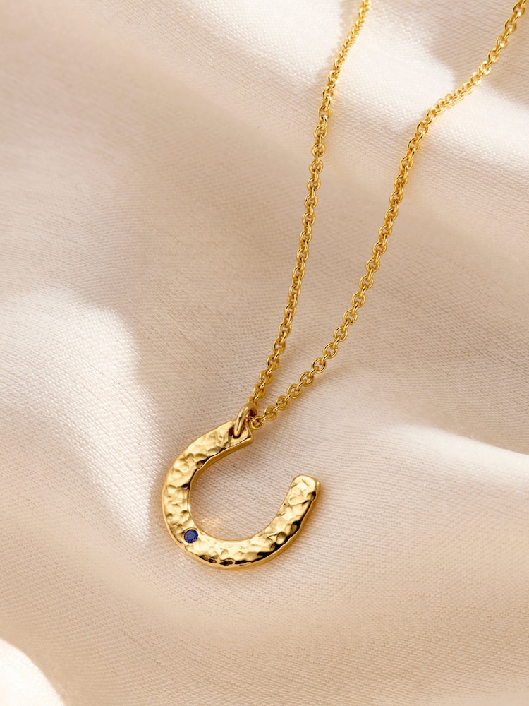 18ct Yellow Gold Tone Personalised Birthstone Horseshoe Necklace By Posh Totty Designs - Image 1 of 5