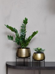 Libra Brass Clyde Tabletop Brass Set of 2 Planters on Black Stands - Image 1 of 4