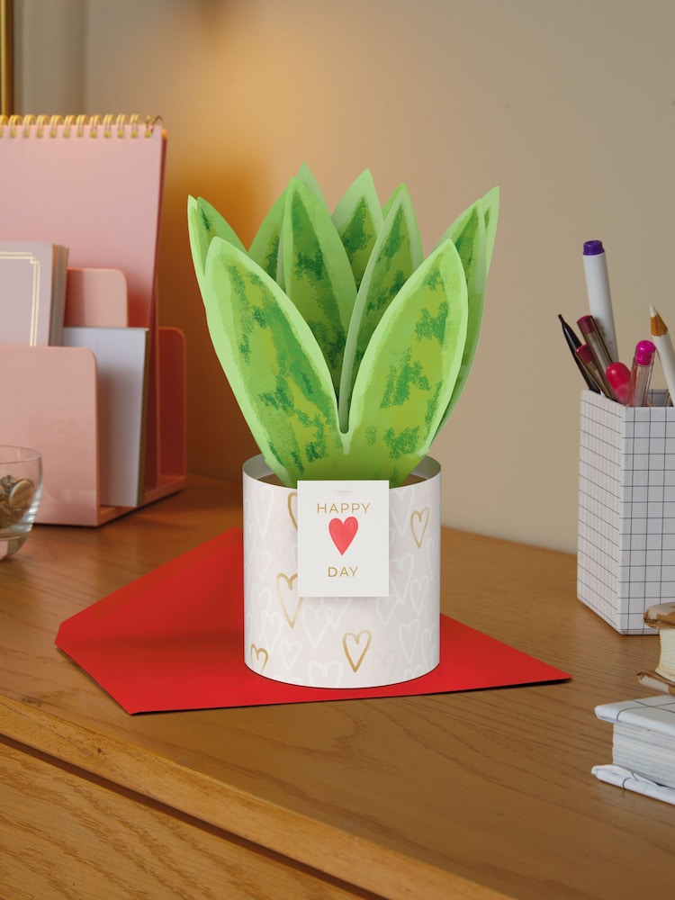 Hallmark Green  White Snake Plant Paper Wonder 3D Valentine's Day Card - Image 1 of 4
