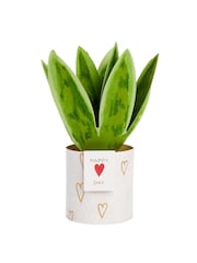 Hallmark Green  White Snake Plant Paper Wonder 3D Valentine's Day Card - Image 2 of 4