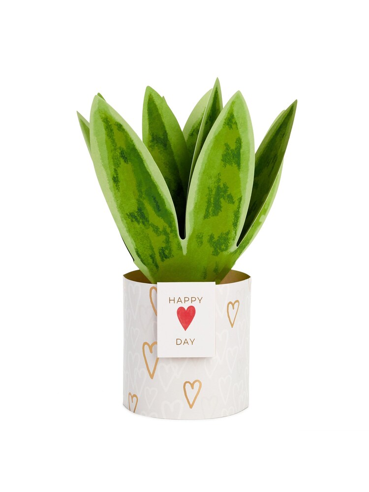 Hallmark Green  White Snake Plant Paper Wonder 3D Valentine's Day Card - Image 2 of 4