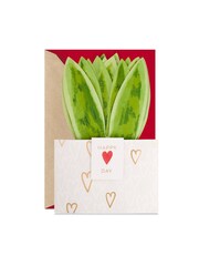 Hallmark Green  White Snake Plant Paper Wonder 3D Valentine's Day Card - Image 3 of 4