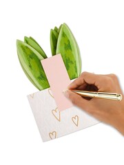 Hallmark Green  White Snake Plant Paper Wonder 3D Valentine's Day Card - Image 4 of 4