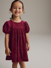 Burgundy Textured Puff Sleeve Velvet Party Dress (3mths-10yrs) - Image 1 of 7