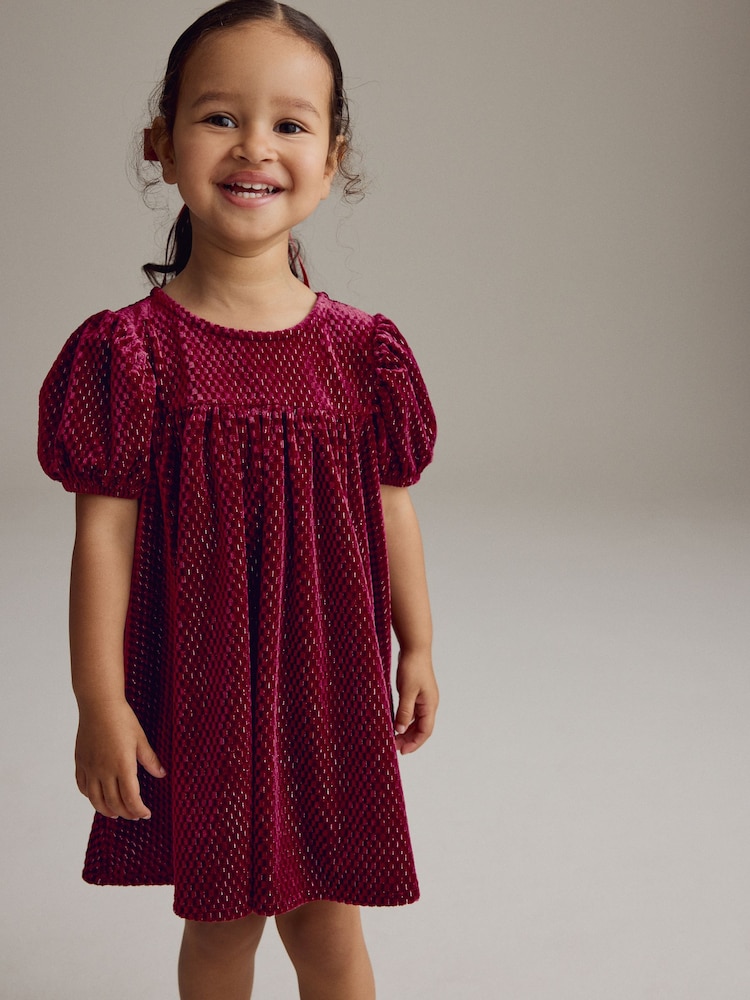 Burgundy Textured Puff Sleeve Velvet Party Dress (3mths-10yrs) - Image 1 of 7