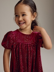 Burgundy Textured Puff Sleeve Velvet Party Dress (3mths-10yrs) - Image 5 of 7