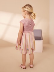 Pink Pink Stripe Dress (3mths-7yrs) - Image 2 of 8