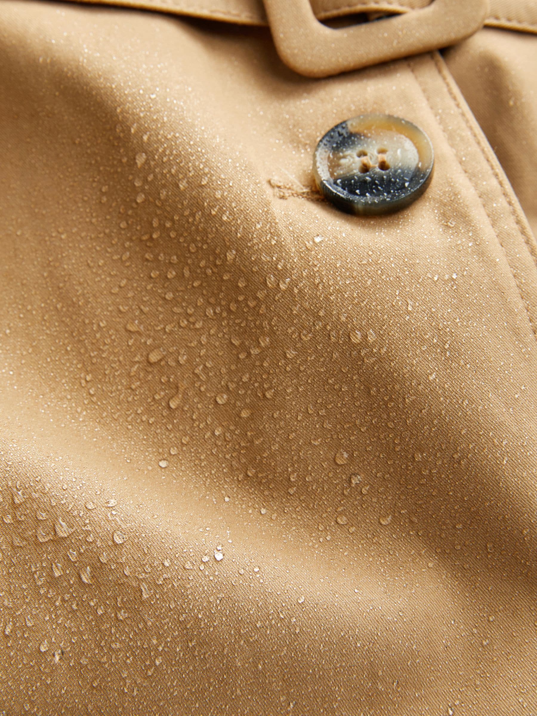 Buy Camel Natural Belted Trench Coat from Next South Africa