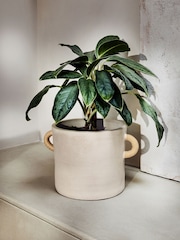 French Connection Natural Large Terracotta Plant Pot - Image 1 of 4