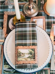 Avalon Home Set of 2 Northern Gallery Wall Napkins - Bilde 3 av 6
