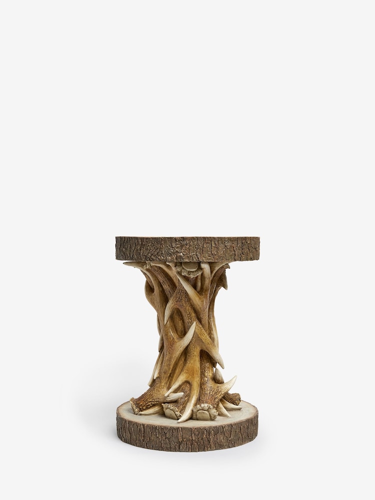 Natural Antler Resin Side Table - Image 2 of 6