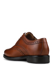 Cuero marrón tostado - Corte ancho - Jones Bootmaker Longwood Wide Fit Leather Brogues - Imagen 4 de 6
