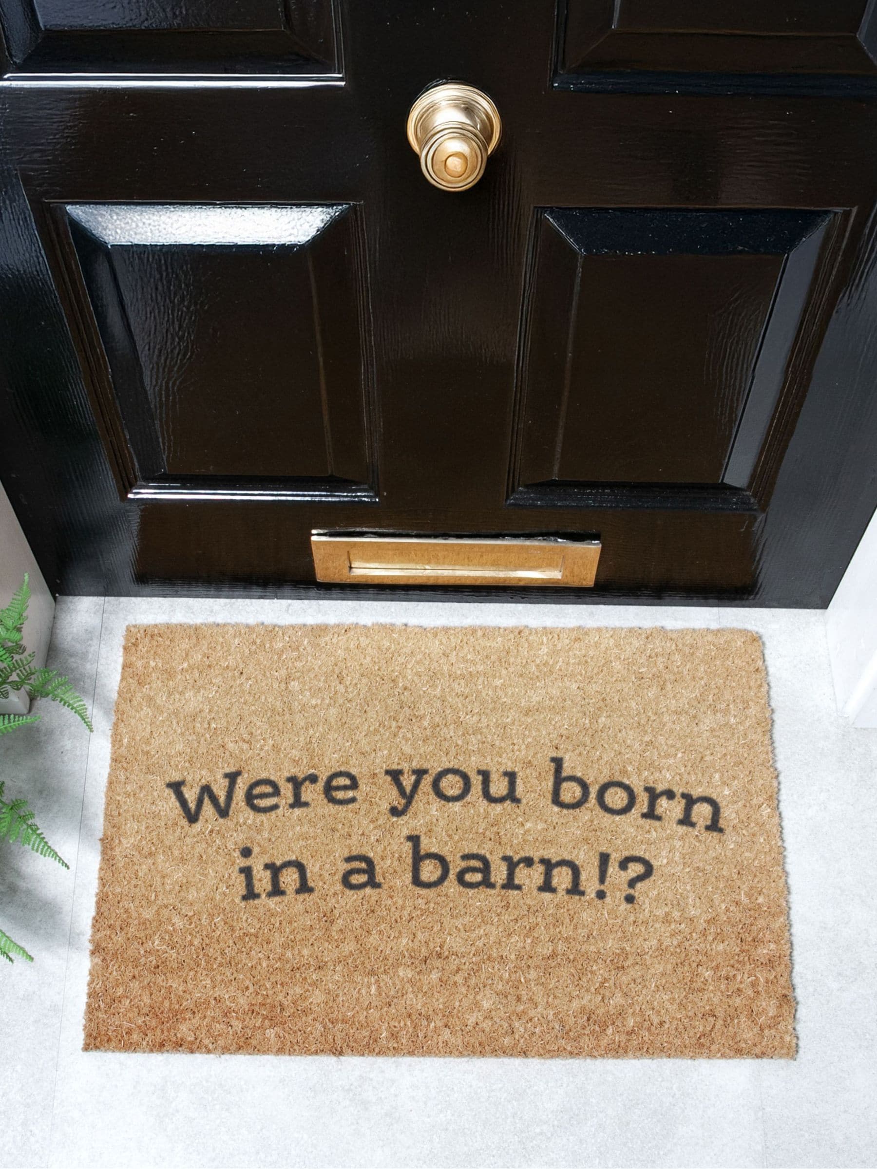 Artsy Mats Brown Were You Born In A Barn Coir Doormat