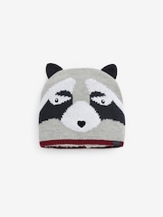 FatFace Grey Raccoon Beanie Hat - Image 1 of 1