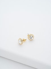 Ted Baker Gold Tone SOLETIA: Solitaire Sparkle Crystal Stud Earrings - Image 1 of 5
