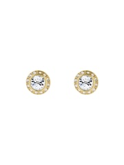 Ted Baker Gold Tone SOLETIA: Solitaire Sparkle Crystal Stud Earrings - Image 4 of 5