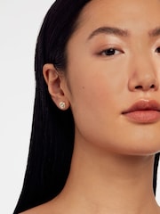 Ted Baker Gold Tone SOLETIA: Solitaire Sparkle Crystal Stud Earrings - Image 5 of 5