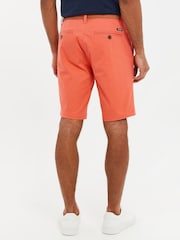 Coral rosa - Pantalones cortos chinos con vuelta en el bajo y cinturón trenzado en algodón elástico de Threadbare - Imagen 3 de 4