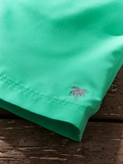 Aqua Green Palm Logo Essential Swim Shorts - Image 11 of 13