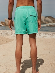 Aqua Green Palm Logo Essential Swim Shorts - Image 6 of 13
