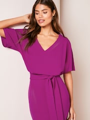 Lipsy Pink Petite V Neck Flutter Sleeve Belted Midi Dress - Image 4 of 4